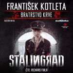 Stalingrad (audiokniha)